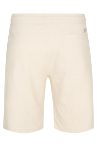 Petrol Industries Men Shorts Chino seashell