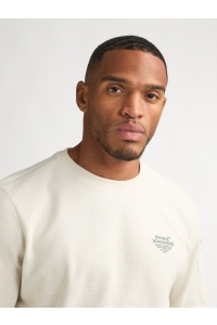 Petrol Industries Men Sweater Round Neck seashell