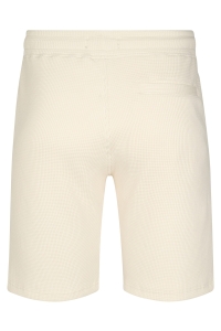 Petrol Industries Men Short Jogging seashell