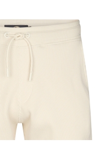 Petrol Industries Men Short Jogging seashell