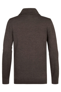 Petrol Industries Men Knitwear Collar cedar brown