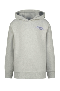 Raizzed Navin Hoodie light grey melee