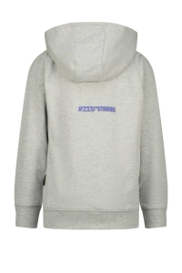 Raizzed Navin Hoodie light grey melee