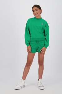 Raizzed Ruba Sweater hunter green