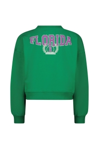 Raizzed Ruba Sweater hunter green