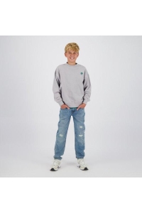 Raizzed Nard light grey