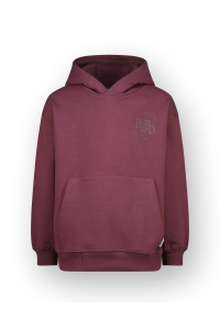 Raizzed Nai  Sweater plum red