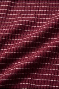 Raizzed Tera T-shirt streep maroon banner
