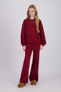 Raizzed Pleuni maroon banner