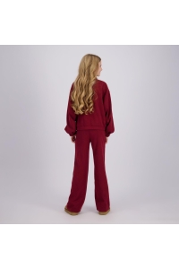 Raizzed Pleuni maroon banner
